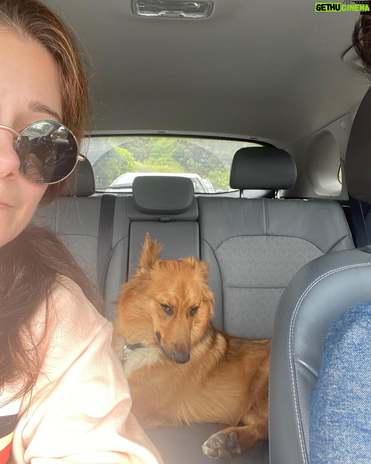 Elizabeth Alderfer - 636 Likes - We got a pup. His name is Rooster.
Also Go Nuggets