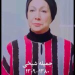 Elizabeth Amini