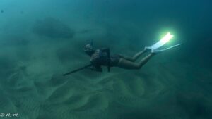 Elizabeth Frances Instagram - Adventures with ➡️@spearfishingbaja 🧜🏽‍♀️✨ This crew and these peeps were top notch. 

📷: @nigma_micki 

And these peeps get me pumped every time: ✨✨
@riffe_international for my pew pew 
@mericspearfishing   @leaderfins for my shiny fins
@girlswhospearfish   @socaldivebabes for mah seasterhood 
@surffur for my warmth @suuntodive for my depth @justgetwet_ for my big ol smile from my mer folk 

#sandiego to #cabo #justgetwet #socaldivebabes #spearfishing #divecabo #divedeep #oceanlife #sustainability #adventure #explore #mermaid #freedive #aquawoman