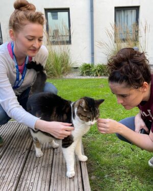 Elizabeth Ho Instagram - I steal…

- backstage antics
- leave your phone back stage, I will haunt it
- greyfriar’s Bobby
- my fav illustration of Bobby
- Edinburgh books
- preshow
- post show
- 5 ⭐️ from guardian
- Courtney the cat helping us rehearse for bbc radio
- our favorite toddler thief