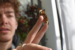 Elliot Fletcher Instagram - i’ve really grown to love butterflies in 2017. hope i can grow to love lots of other little things that we take for granted in 2018. i also hope to somehow overthrow the government, but ill keep you posted! 📷: @danielleraewilliamson