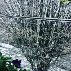 Elliot Grihault Instagram - Snow...In London?!