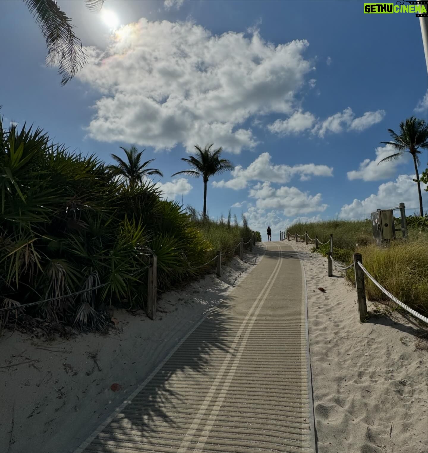 Elona Ndrecaj - 3 Likes - Palm trees and 80 degrees 🌴☀️