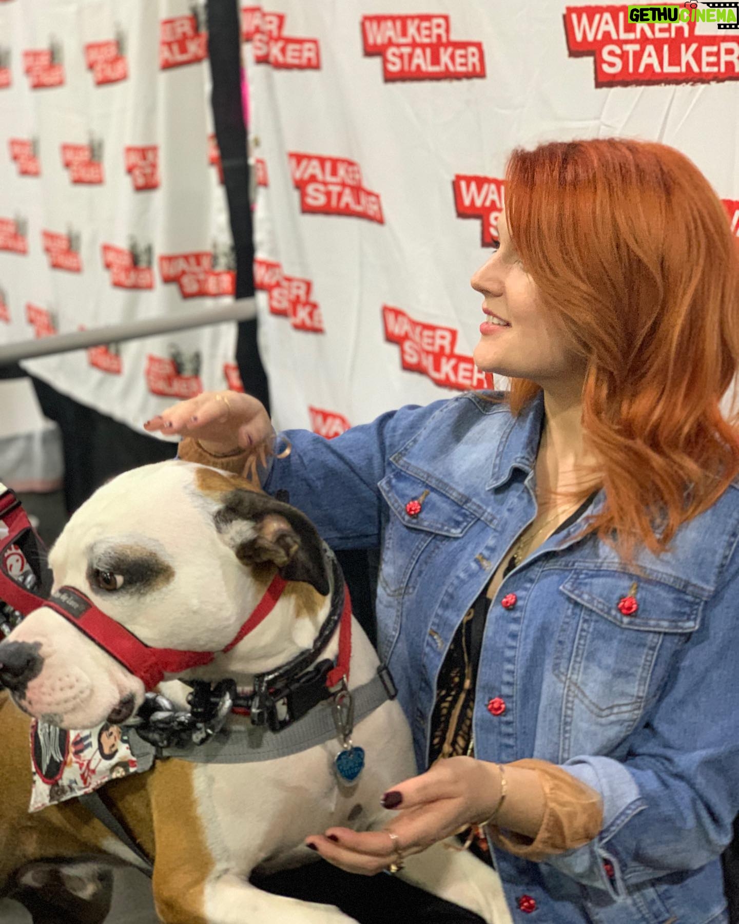Elyse Dufour - 1.3K Likes - Goingtoclogyourshitwithonemore #walkerstalkercon #walkerstalker postsorryinadvance but I love these people #twd #twdfans #twdfamily
Please comment and let me tag you because I love you so much