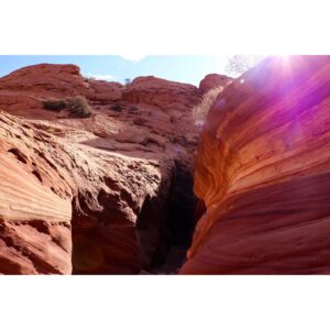 Elyse Levesque Instagram - The Land Before Time. 🦕 #DontBeFooledByTheRocksThatIGot #BuckskinGluch #Utah #SlotCanyon