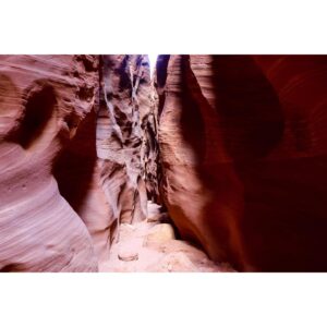 Elyse Levesque Instagram - The Land Before Time. 🦕 #DontBeFooledByTheRocksThatIGot #BuckskinGluch #Utah #SlotCanyon