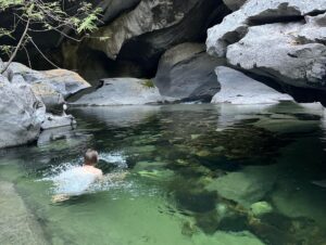 Em Haine Instagram - At the end of shooting season 2 of #ReginaldtheVampire I rented a van and headed North on Vancouver Island. (North Island as the locals call it). What I encountered: sprawling old growth forests, tree trunks thick and wrinkled with time, emerald/lime/chartreuse mosses, mountains pouring out fresh springs (though probably boil it before drinking), eco systems returning from near extinction (sea otters!). We saw black bear cubs, plenty of deer, eagles, even a mountain lion! We felt nature through our pores and she cradled us as her child, laying in our mothers lap. We also saw devastating logging in places it had absolutely zero business being. This however is a celebratory post 💞

Posted @withregram • @tjwatt WE DID IT!! The BC government has just launched a vital conservation financing mechanism to protect old-growth forests and other endangered ecosystems!

This funding will support First Nations’ economic, capacity, stewardship, and management needs linked to protecting ecosystems. Without it, the wide-spread protection of the most endangered and contested ecosystems, such as those with the biggest trees and greatest timber values, would be largely impossible.

The @ancientforestalliance and @endangeredecosystemsalliance have led the call for this critical measure since 2017 and are celebrating its arrival. We couldn't have done it though without the thousands of supporters, like you, who have continually spoken up - thank you!!

Premier @davidebybc has now delivered on one of his three big commitments (you can send him a “thank you” for implementing this conservation financing mechanism to save nature at premier@gov.bc.ca). His other major commitments include doubling the protected areas in BC from 15% now to 30% by 2030 and targeting protection for biodiverse areas, which we interpret to mean the potential development of ecosystem-based protection targets (which haven’t happened yet). We will continue working to ensure these commitments come to fruition.

See @tjwatt for full media release 🙏