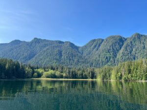 Em Haine Instagram - At the end of shooting season 2 of #ReginaldtheVampire I rented a van and headed North on Vancouver Island. (North Island as the locals call it). What I encountered: sprawling old growth forests, tree trunks thick and wrinkled with time, emerald/lime/chartreuse mosses, mountains pouring out fresh springs (though probably boil it before drinking), eco systems returning from near extinction (sea otters!). We saw black bear cubs, plenty of deer, eagles, even a mountain lion! We felt nature through our pores and she cradled us as her child, laying in our mothers lap. We also saw devastating logging in places it had absolutely zero business being. This however is a celebratory post 💞

Posted @withregram • @tjwatt WE DID IT!! The BC government has just launched a vital conservation financing mechanism to protect old-growth forests and other endangered ecosystems!

This funding will support First Nations’ economic, capacity, stewardship, and management needs linked to protecting ecosystems. Without it, the wide-spread protection of the most endangered and contested ecosystems, such as those with the biggest trees and greatest timber values, would be largely impossible.

The @ancientforestalliance and @endangeredecosystemsalliance have led the call for this critical measure since 2017 and are celebrating its arrival. We couldn't have done it though without the thousands of supporters, like you, who have continually spoken up - thank you!!

Premier @davidebybc has now delivered on one of his three big commitments (you can send him a “thank you” for implementing this conservation financing mechanism to save nature at premier@gov.bc.ca). His other major commitments include doubling the protected areas in BC from 15% now to 30% by 2030 and targeting protection for biodiverse areas, which we interpret to mean the potential development of ecosystem-based protection targets (which haven’t happened yet). We will continue working to ensure these commitments come to fruition.

See @tjwatt for full media release 🙏