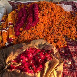 Em Haine Instagram - Hold a fistful of flowers? ✔️ 
Eat paratha? ✔️
See a street dog with a bindi? ✔️
And then some. 🙏