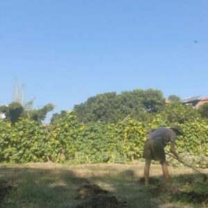 Em Haine Instagram - Today marks one month of living in an ashram at the foothills of the Himalayas, next to the holy Ganga river. 
One month of sobriety. One month of yoga everyday following the moon cycle. One month of ritual chanting before sunrise, before every meal and after sunset. One month of cleansing, satkarma. One month of pranayama. One month of purifying tears flowing as mightily as the Ganga during monsoon season. One month of laughing with beautiful souls. One month of karma yoga- selfless service. One month of working with the land. One month of homemade vegetarian dals, paneer, curries, rotis and papayas. One healing ritual. One 101 degree fever. One bazzzillion itchy bug bites and counting. One heavy dose of moon magic, spiritual knowledge and ancient wisdoms. One new found perspective on discipline, self sufficiency and finding home inside of me. One eternal consciousness 💞🌚🧘🌞♾️