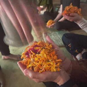 Em Haine Instagram - Hold a fistful of flowers? ✔️ 
Eat paratha? ✔️
See a street dog with a bindi? ✔️
And then some. 🙏