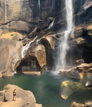 Emily Coutts Instagram - Nature kept us sane 🌱 Happy New Year y’all!