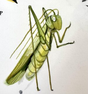 Emily Gravett Instagram - Lately I have been drawing a lot of these type of thing. I’m working on a new picture book and I’m loving it.
#abadgercalledpete #bugs