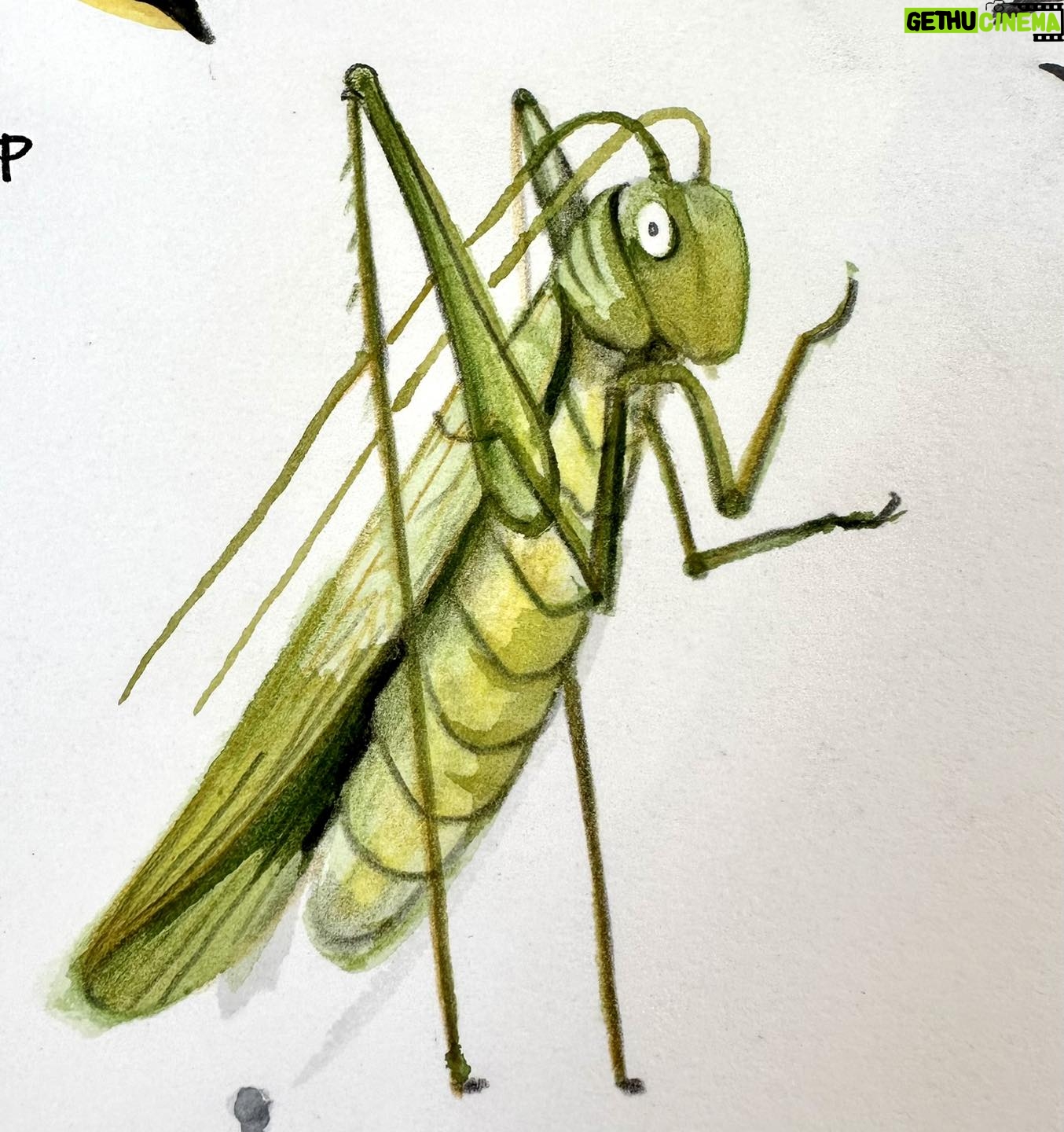 Emily Gravett - 1.7K Likes - Lately I have been drawing a lot of these type of thing. Iām working on a new picture book and Iām loving it.
#abadgercalledpete #bugs