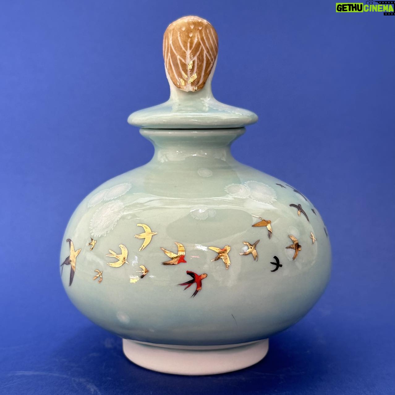 Emily Gravett - 1.1K Likes - This is one of the more successful items out of my kiln this haul.
I made three little moon jars and I think I like this one best.
Iām still deciding whether or not to deglaze the other two as they didnāt come out as Iād expected. #porcelain #owlsofinstagram #lustreware #nightowl #pottery #ceramics #handmade
