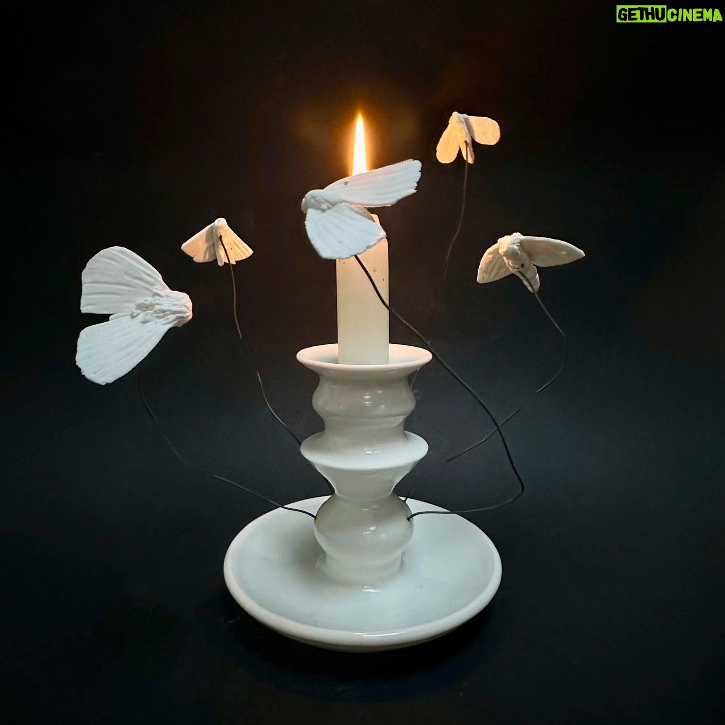 Emily Gravett - 1.1K Likes - I tried a new thing the other week. I made a candle holder!
Iāve just finished a book (a Pete the badger book!) involving drawing a LOT of insects. I think itās rubbed off in my ceramics
#potterylove #handmade #pottery #ceramicsart #moths #mothtotheflame #porcelain #paper #clay #paperclay