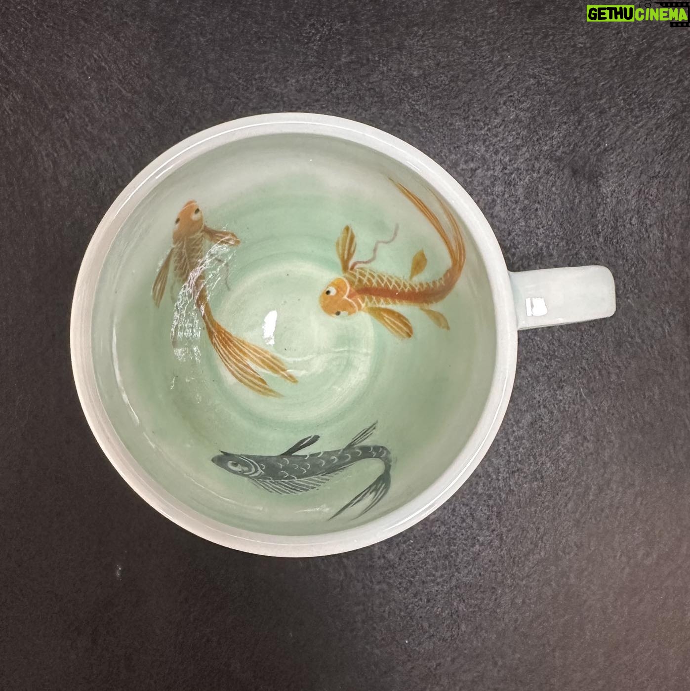 Emily Gravett - 1.8K Likes - I really wasnāt sure how this would work. If the fish would be visible, whether the greens would shade down in the way I wanted, so Iām pretty delighted with how it turned out. #ceramicsart #potterylove #porcelain #outofthekiln #teacupandsaucer