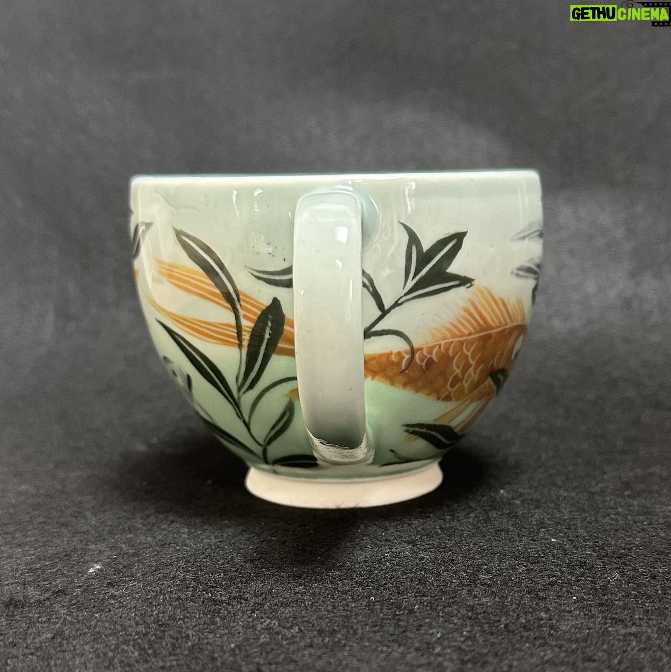 Emily Gravett - 1.8K Likes - I really wasnāt sure how this would work. If the fish would be visible, whether the greens would shade down in the way I wanted, so Iām pretty delighted with how it turned out. #ceramicsart #potterylove #porcelain #outofthekiln #teacupandsaucer