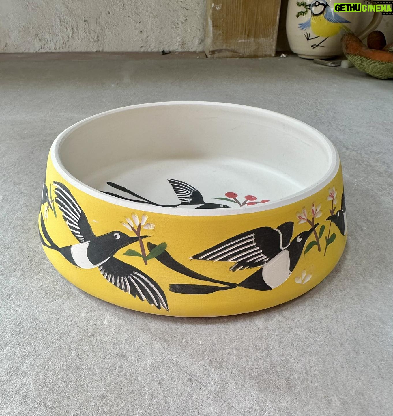 Emily Gravett - 1.7K Likes - I havenāt had as much time to do pottery lately as Iād like, which is at least giving what I have made plenty of time to dry before firing.
This is a cat water bowl made especially for my sister, @handmadeinse20 who after years of waiting is getting a brand new swanky kitchen. Those cats deserve an equally swanky bowl to drink from!
#pottery #potterystudio #ceramicsart #handmade #ceramics #porcelain #magpie #magpiesofinstagram #catbowl #posh #cats #poshcats