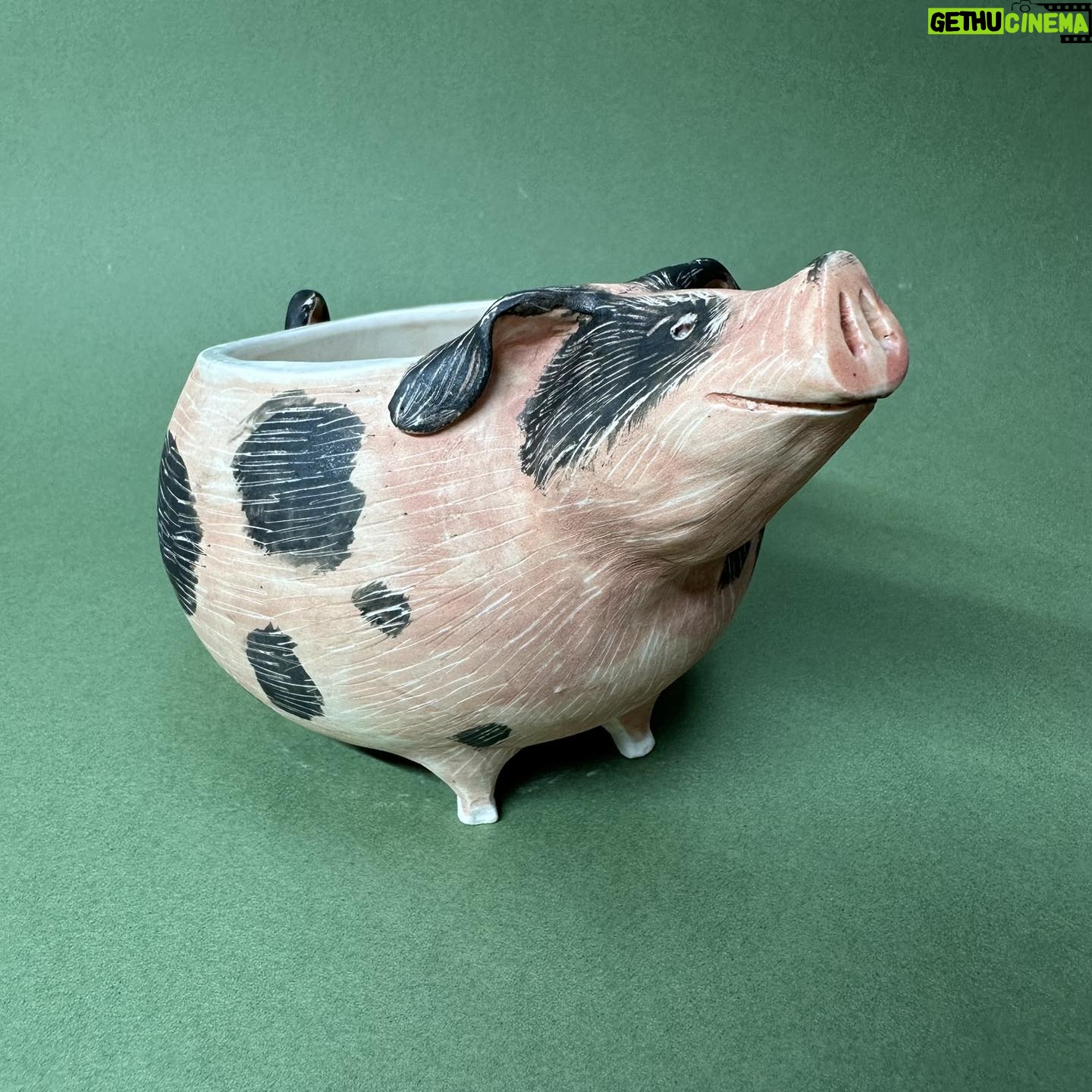 Emily Gravett - 0.9K Likes - The first of 2 pigs I made in this firing.
Oh I had such fun! I put the pens in for size comparison as no one knew how big my previous rabbit pots were.
#potterystudio #porcelain #potterylove #outofthekiln #ceramics #handmade #pigs #pigpot #pigpottery