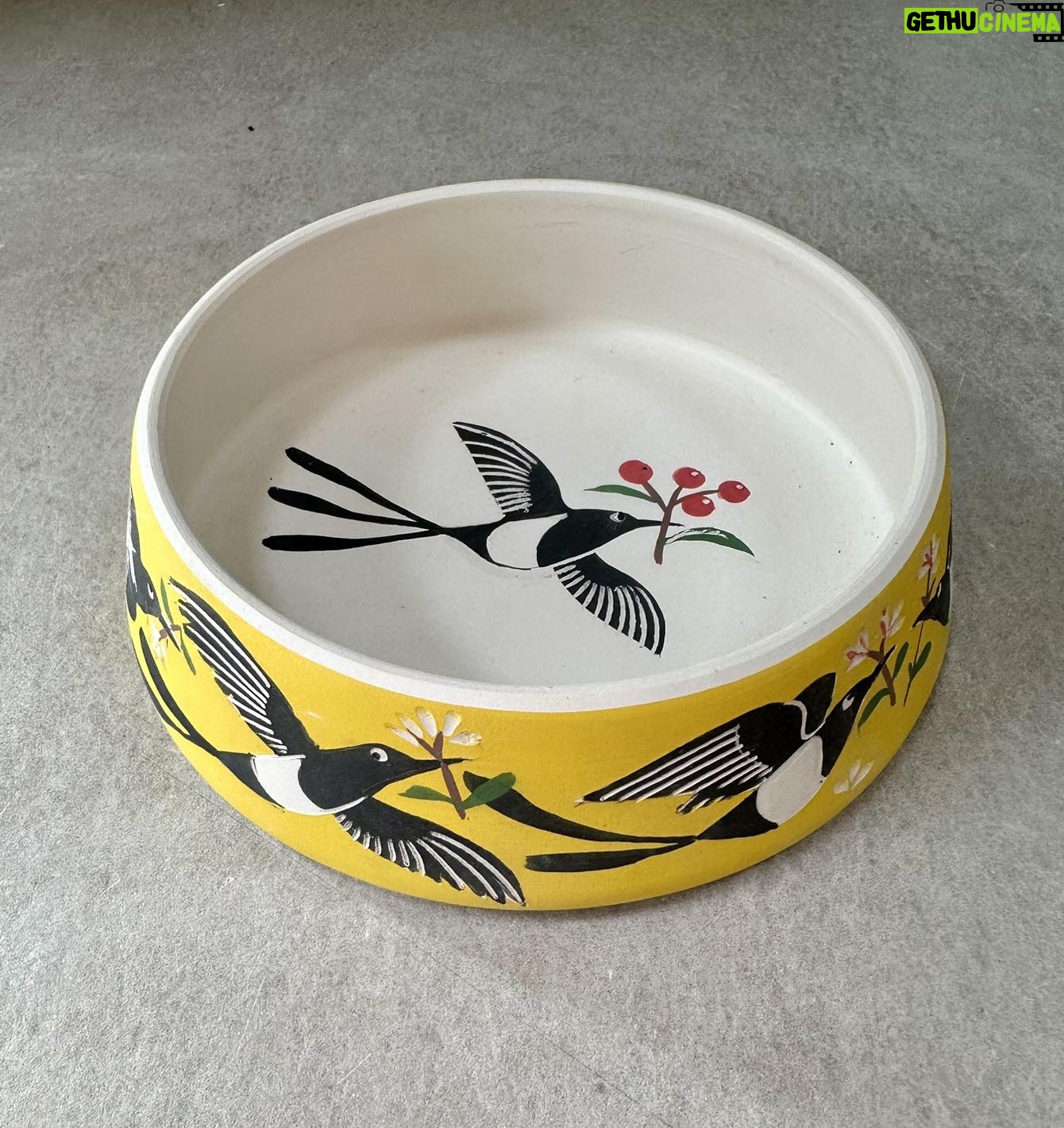 Emily Gravett - 1.7K Likes - I havenāt had as much time to do pottery lately as Iād like, which is at least giving what I have made plenty of time to dry before firing.
This is a cat water bowl made especially for my sister, @handmadeinse20 who after years of waiting is getting a brand new swanky kitchen. Those cats deserve an equally swanky bowl to drink from!
#pottery #potterystudio #ceramicsart #handmade #ceramics #porcelain #magpie #magpiesofinstagram #catbowl #posh #cats #poshcats