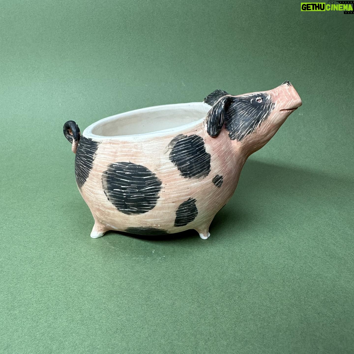 Emily Gravett - 0.9K Likes - The first of 2 pigs I made in this firing.
Oh I had such fun! I put the pens in for size comparison as no one knew how big my previous rabbit pots were.
#potterystudio #porcelain #potterylove #outofthekiln #ceramics #handmade #pigs #pigpot #pigpottery