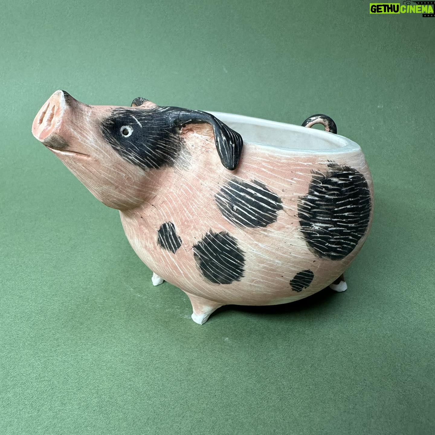 Emily Gravett - 0.9K Likes - The first of 2 pigs I made in this firing.
Oh I had such fun! I put the pens in for size comparison as no one knew how big my previous rabbit pots were.
#potterystudio #porcelain #potterylove #outofthekiln #ceramics #handmade #pigs #pigpot #pigpottery