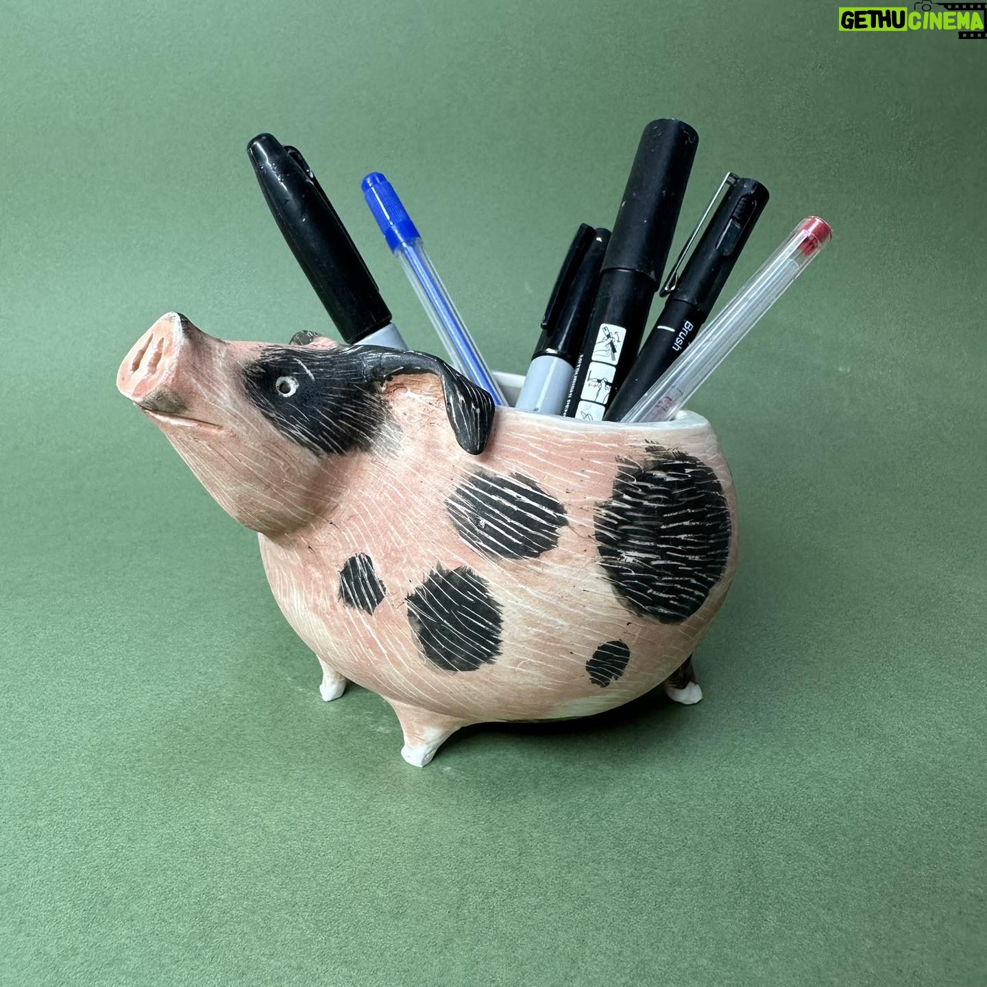 Emily Gravett - 0.9K Likes - The first of 2 pigs I made in this firing.
Oh I had such fun! I put the pens in for size comparison as no one knew how big my previous rabbit pots were.
#potterystudio #porcelain #potterylove #outofthekiln #ceramics #handmade #pigs #pigpot #pigpottery
