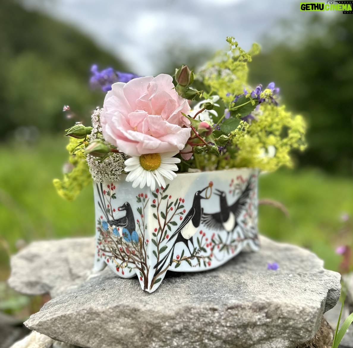 Emily Gravett - 766 Likes - Happy Saturday!
Iāve not had much time for pottery (or social media) lately, and itās taken me ages to finish a kiln load. Then itās all been a bit disappointing. I had high hopes for this flower brick, but I canāt have wiped the feet properly after glazing because a couple of the feet chipped. Not drastically. It still stands fine and I ground it down, but it isnāt perfect. I have to decide whether to keep it or sell as a second.
Do excuse my flower arranging. Itās definitely NOT in my skill set unlike my good friend @laylarobinsondesign who is a flower master. Iām more of a shove them in type!
More fails to follow, and a few I think Iāve saved with a touch of bling #handmade #magpiesofinstagram #handmade #ceramicsart #porcelain #flowerbrick #pottery #potterydisaster #magpie