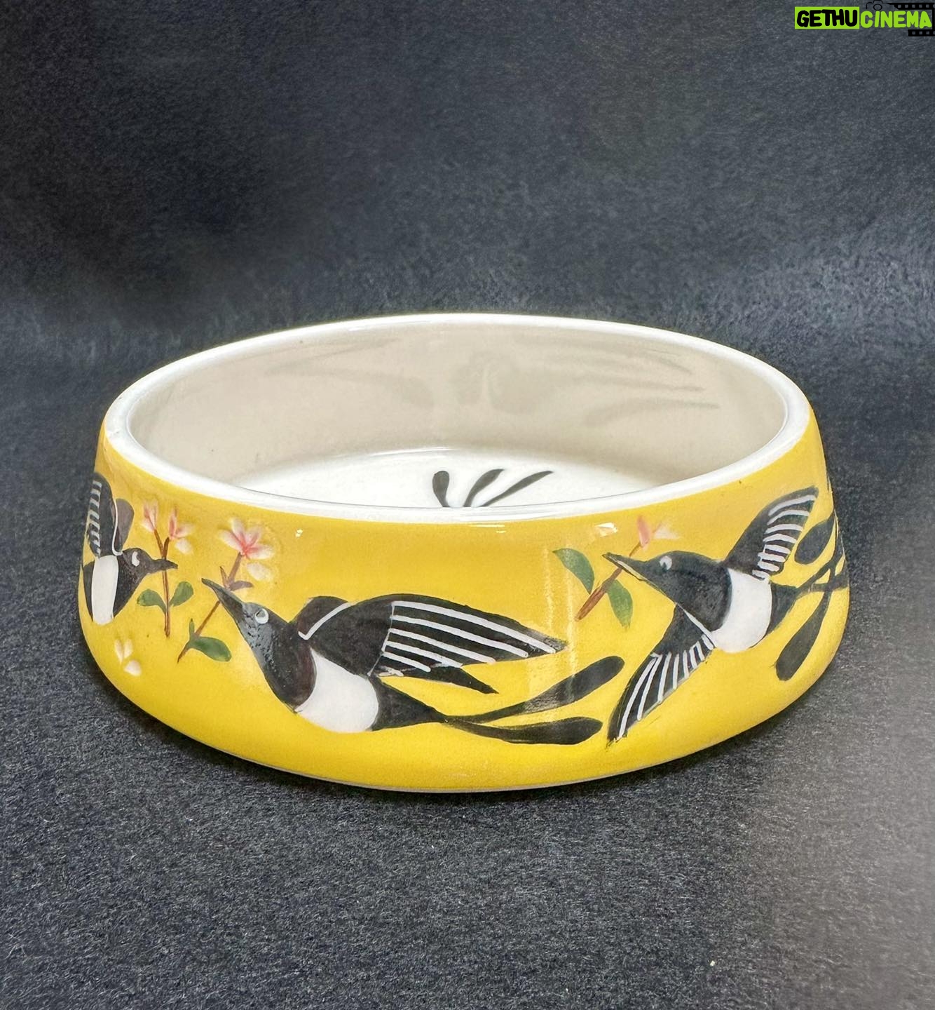 Emily Gravett - 1.3K Likes - Here is the finished cat water bowl that I made for my sister @handmadeinSE20
Iām pretty pleased with how it turned out. I LOVE the yellow on the porcelain #outofthekiln #potterylove #ceramicsart #porcelain #magpie #fancycatbowl
