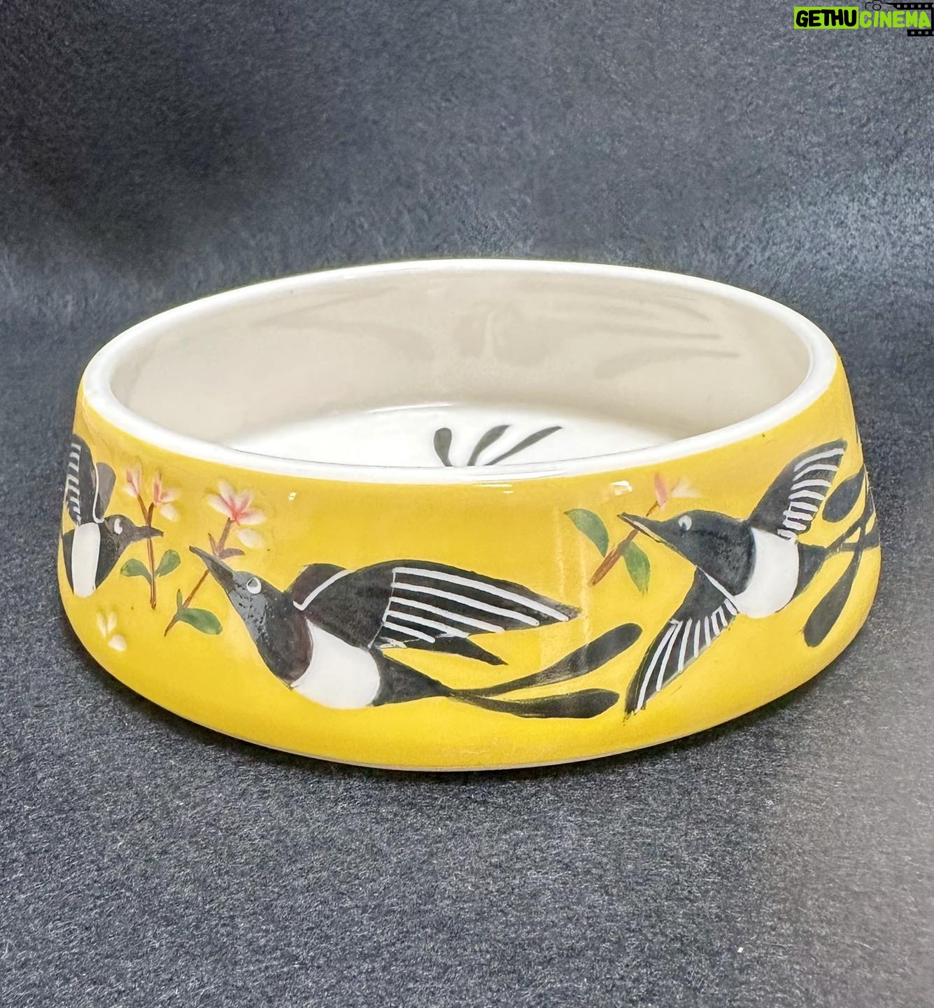 Emily Gravett - 1.3K Likes - Here is the finished cat water bowl that I made for my sister @handmadeinSE20
Iām pretty pleased with how it turned out. I LOVE the yellow on the porcelain #outofthekiln #potterylove #ceramicsart #porcelain #magpie #fancycatbowl