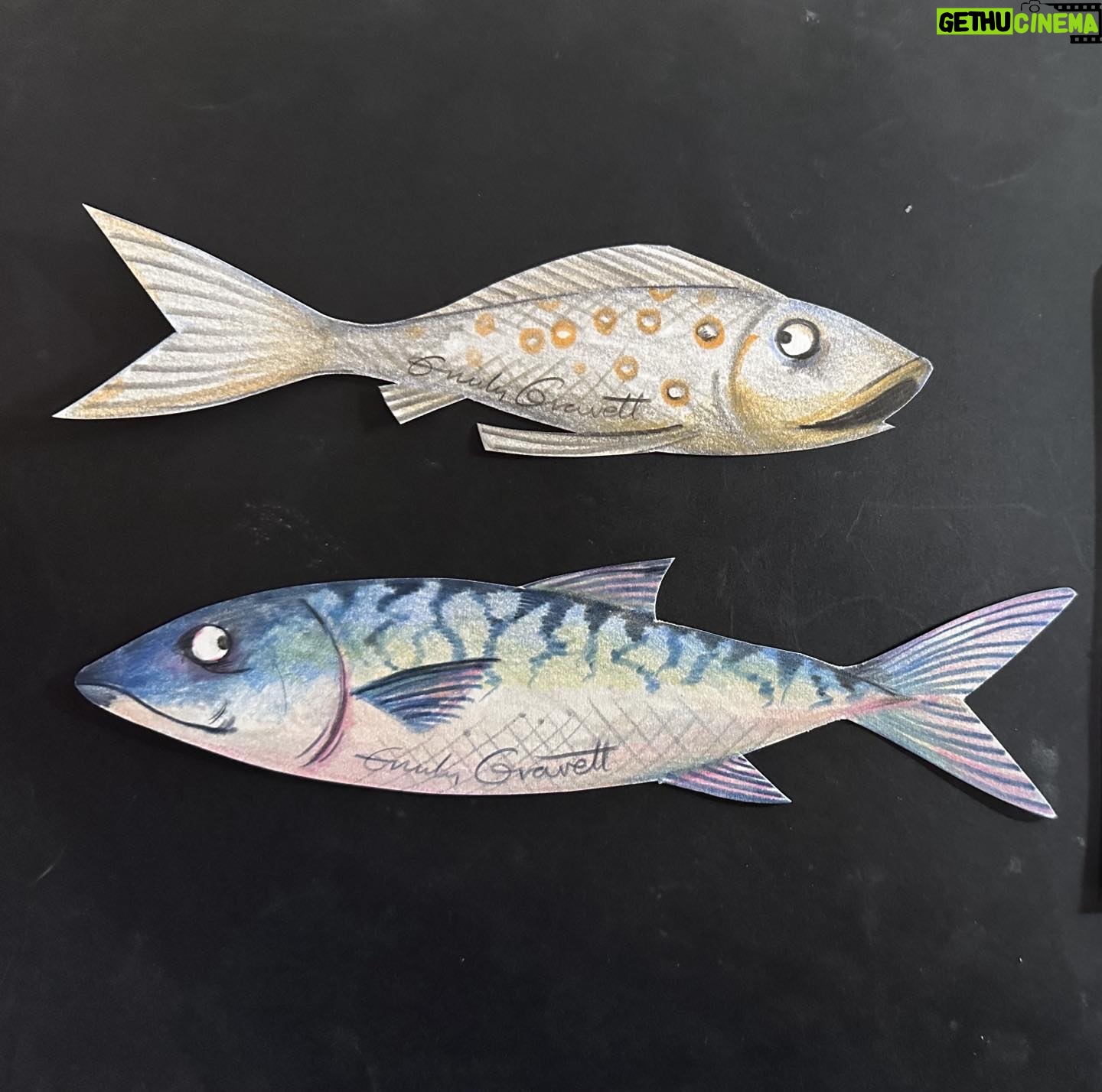 Emily Gravett - 1.1K Likes - I donated some bookmarks to the #bookmarkproject2024 which is now live!
Thereās loads of fabulous original art being sold in aid of Katiyo primary school in Zimbabwe
Follow the link in @slhattersley bio to bid!
https://www.jumblebee.co.uk/