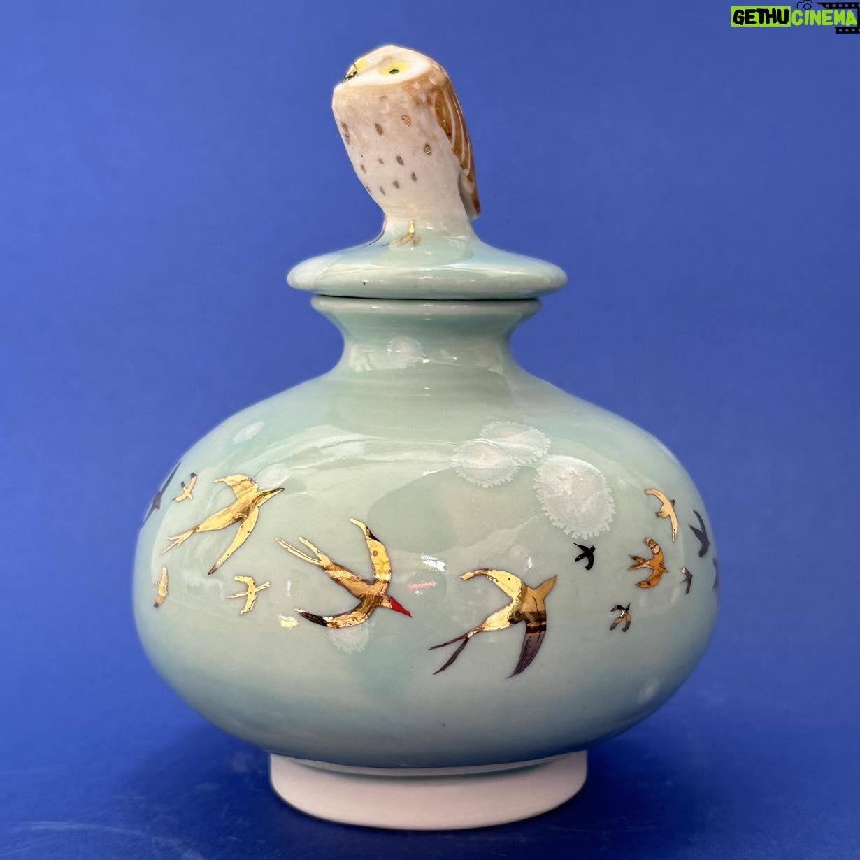 Emily Gravett - 1.1K Likes - This is one of the more successful items out of my kiln this haul.
I made three little moon jars and I think I like this one best.
Iām still deciding whether or not to deglaze the other two as they didnāt come out as Iād expected. #porcelain #owlsofinstagram #lustreware #nightowl #pottery #ceramics #handmade