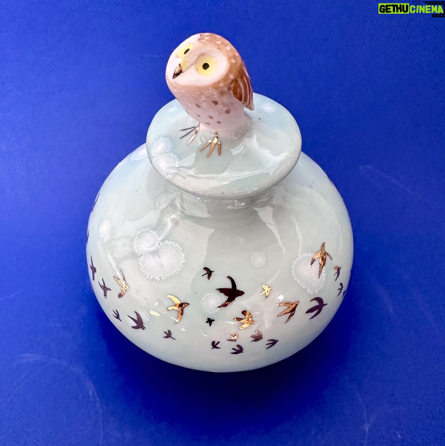 Emily Gravett - 1.1K Likes - This is one of the more successful items out of my kiln this haul.
I made three little moon jars and I think I like this one best.
Iām still deciding whether or not to deglaze the other two as they didnāt come out as Iād expected. #porcelain #owlsofinstagram #lustreware #nightowl #pottery #ceramics #handmade