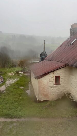 Emily Gravett Instagram - It’s a tad damp here this evening