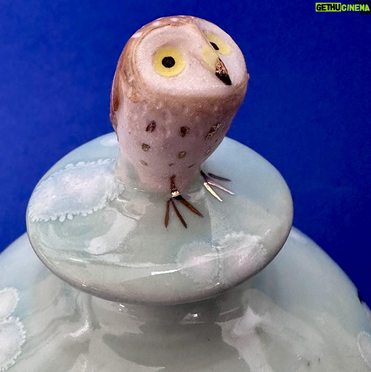 Emily Gravett - 1.1K Likes - This is one of the more successful items out of my kiln this haul.
I made three little moon jars and I think I like this one best.
Iām still deciding whether or not to deglaze the other two as they didnāt come out as Iād expected. #porcelain #owlsofinstagram #lustreware #nightowl #pottery #ceramics #handmade