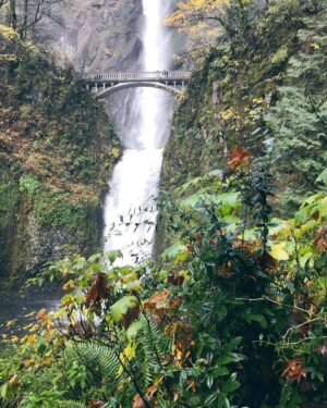 Emily Serpico Instagram - Oregon is everything I dreamt it would be 🌿 I feel so inspired #oregon #portland #multnomahfalls #moss #waterfall