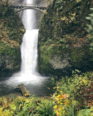Emily Serpico Instagram - Oregon is everything I dreamt it would be 🌿 I feel so inspired #oregon #portland #multnomahfalls #moss #waterfall