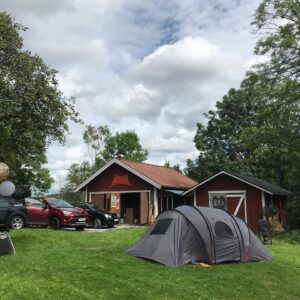 Emma Knyckare Instagram - Lilla Roskilde i mitt hjärta! En otroligt dansk helg i kärleken och kroppsvätskornas tecken. ❤️ Tänk om morsan berättat att man borde lugnat sig med bensinboffandet för plötsligt kommer dagen då hjärnceller eventuellt behövs för att du ska kunna koppla ihop hur det är möjligt att se Tina Turner, Queen, Carola, Kim Larsen , Skunk Anansie , Cranberries och Sex pistols på samma festival! 
Och på en vit springare kom @oskarcresso och levererade ljudsystem så man kunde vråla lymfan ur sig till morgonkvisten. Annars är allt man behöver Tuborg och en faster som kan göra vegetarisk helstekt gris i remoulad. Fy fettan vad laekkert.