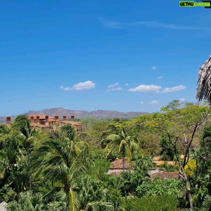 Emmanuel Buriez - 2K Likes - L'hôtel Jardin Del Eden à Tamarindo au Costa Rica.
Differents types de chambre.
Ici la chambre premiun plus. Elle donne une vue surélevée sur l'océan pacifique.
Un hôtel qui porte bien son nom puisqu'il ressemble à l'idée du paradis.
Idéal pour un séjour paradisiaque, ecotouristique, pour le surf, ou le farniente, ou encore une ambiance romantique.
Que la vie vous berce.
#costarica #jardindeleden #tamarindo #hoteljardindeleden #pacificocean #oceanview #ocean #centralamerica #hotel #hôtel #playa #view #viensavecmoi #comewithme #travel #ailleurs #emmanuelburiez #suitewithaview #beachview #seaandsun #guanacaste #holidays #luxuryhotel #world #ecotourisme #ecotourism #guanacastecostarica #quelquepart ##hopethelifenchantyou #quelavievousberce