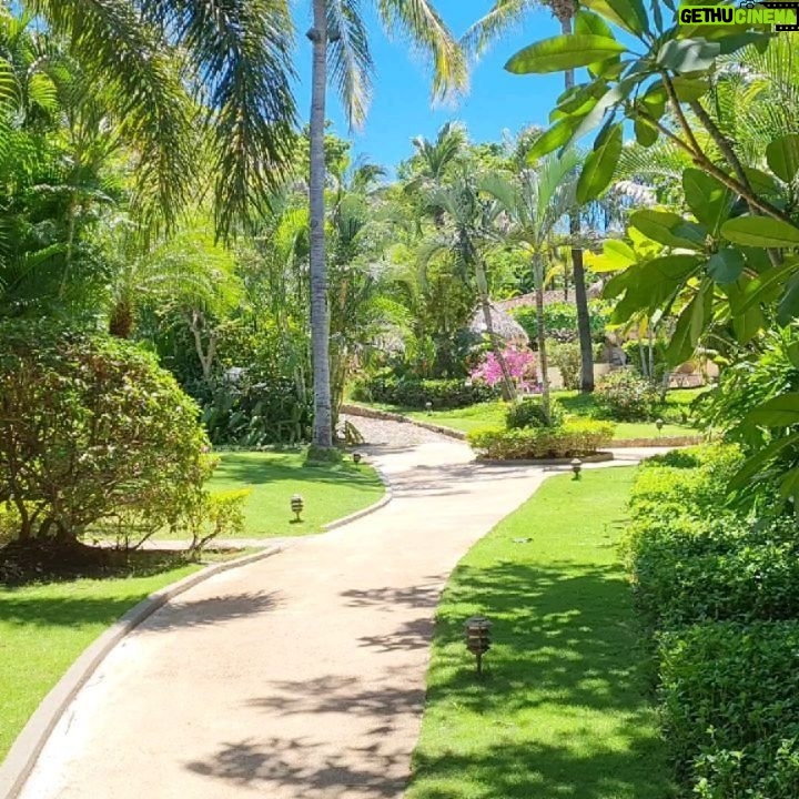 Emmanuel Buriez - 2K Likes - L'hôtel Jardin Del Eden à Tamarindo au Costa Rica.
Differents types de chambre.
Ici la chambre premiun plus. Elle donne une vue surélevée sur l'océan pacifique.
Un hôtel qui porte bien son nom puisqu'il ressemble à l'idée du paradis.
Idéal pour un séjour paradisiaque, ecotouristique, pour le surf, ou le farniente, ou encore une ambiance romantique.
Que la vie vous berce.
#costarica #jardindeleden #tamarindo #hoteljardindeleden #pacificocean #oceanview #ocean #centralamerica #hotel #hôtel #playa #view #viensavecmoi #comewithme #travel #ailleurs #emmanuelburiez #suitewithaview #beachview #seaandsun #guanacaste #holidays #luxuryhotel #world #ecotourisme #ecotourism #guanacastecostarica #quelquepart ##hopethelifenchantyou #quelavievousberce