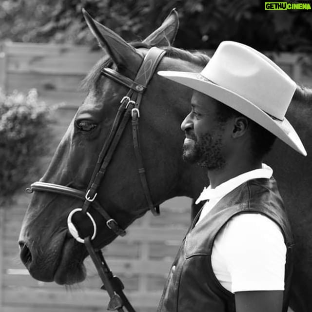 Emmanuel Buriez - 2.1K Likes - Cheval vaut plus que richesse.
Proverbe espagnol.
#cheval #équitation #equidé #horse #horserider #horseride #equitationhorse #equitationwestern #horseriding #horselover #horselive #horsepower #cowboystyle #cowboy #horsepassion #chevalpassion #tattiniboots #tattini #emmanuelburiez #haras #horseworld #cavalier #quelavievousberce #hopethelifenchantyou