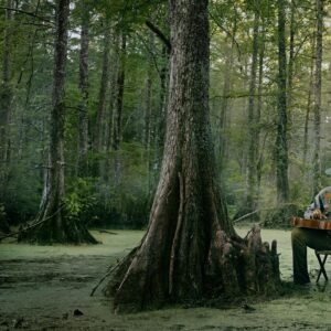 Emmanuel Lubezki Instagram - Some of the images from the Lavazza Calendar 2022.    A few seconds after Ben Harper started playing his slide guitar, the frogs, birds, and all critters started singing — as if the harmonics of his strings had invited them to join and vibrate together.
We all got goosebumps.  Artists:   @benharper @sonitalizadeh @mitty @shamellbell @shilpay @saype_artiste 
Thanks to:
 #francescalavazza 
@lavazzaofficial @armandotestaspa @theproducerstv @parkpicturesny @kousidonis @jackiebisbee @lauren_strogoff @jessicaschaefer_ @annmurph @aleccume #Danielvoll @bretlama
  @mark.d.harris
 @benlechevallier
 @kevin_lavallade
 @_dfactory
 @paulnicklen
 @SeaLegacy
 @c.a.n.c.i.n.o
 @jessica_margolis
 @theliftmx
 @kananfilms
 @losinggroundseries
 @laurie_devine7
 @grainla
 @prisca_wille
 @shaynamfrederick
 @glossnewyork
@archerjoel @chichiemb79 

  
Our world is fragile, beautiful. Sometimes we forget. This edition highlights six artists and activists who are committed to change. My process begins in dialogue. How do you want to be photographed and where? My job is to translate their vision into images. Each image contains a personal secret, an evocation.
Our locations across America were impacted by climate change. The shoots exposed us to alarming realities: glacial lakes that disappeared overnight, roads hot enough to melt tires. It made me terribly aware of how desperately we need the voices of these activists. Their work challenges us, creates community, makes us readier for the world’s beauty, stronger against its dangers. It is our duty as artists, as creators, as businesses, to bring these truths to the forefront and address them. And to celebrate those working for change, and to join them, as Ben Harper sings — with our own two hands.
Thank you, Lavazza, for inviting me on this journey.