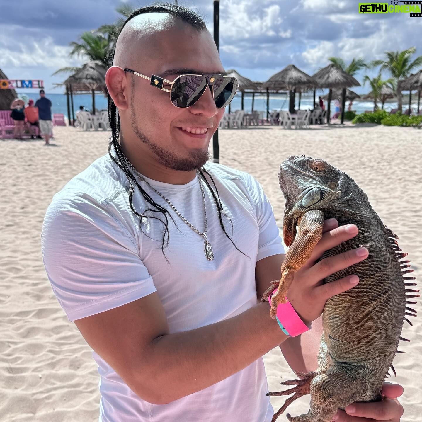Emmanuel Roman Morales - 1.6K Likes - Since it’s @hijodelvikingoaaaoficial first time in Mexico, I told him he had to take a picture with this iguana 😝 #jerichocruise💥 Also, I’m not known as Mario in Mexico, it our tour guides name.