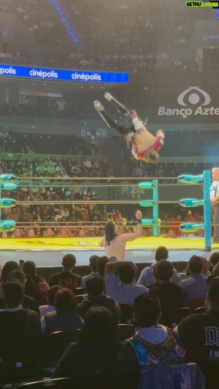 Emmanuel Roman Morales - 3.6K Likes - La espectacularidad del @hijodelvikingoaaaoficial
#wrestling #prowrestling #luchalibre #puroresu