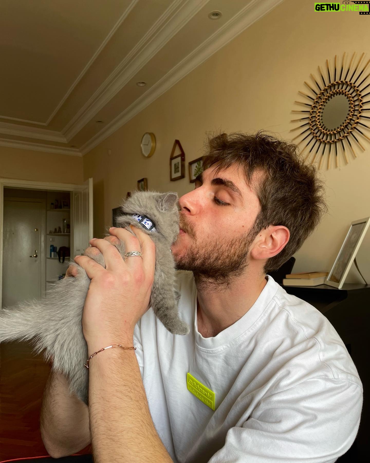 Emre Bey - 94.7K Likes - Biraz mutsuz 🐱