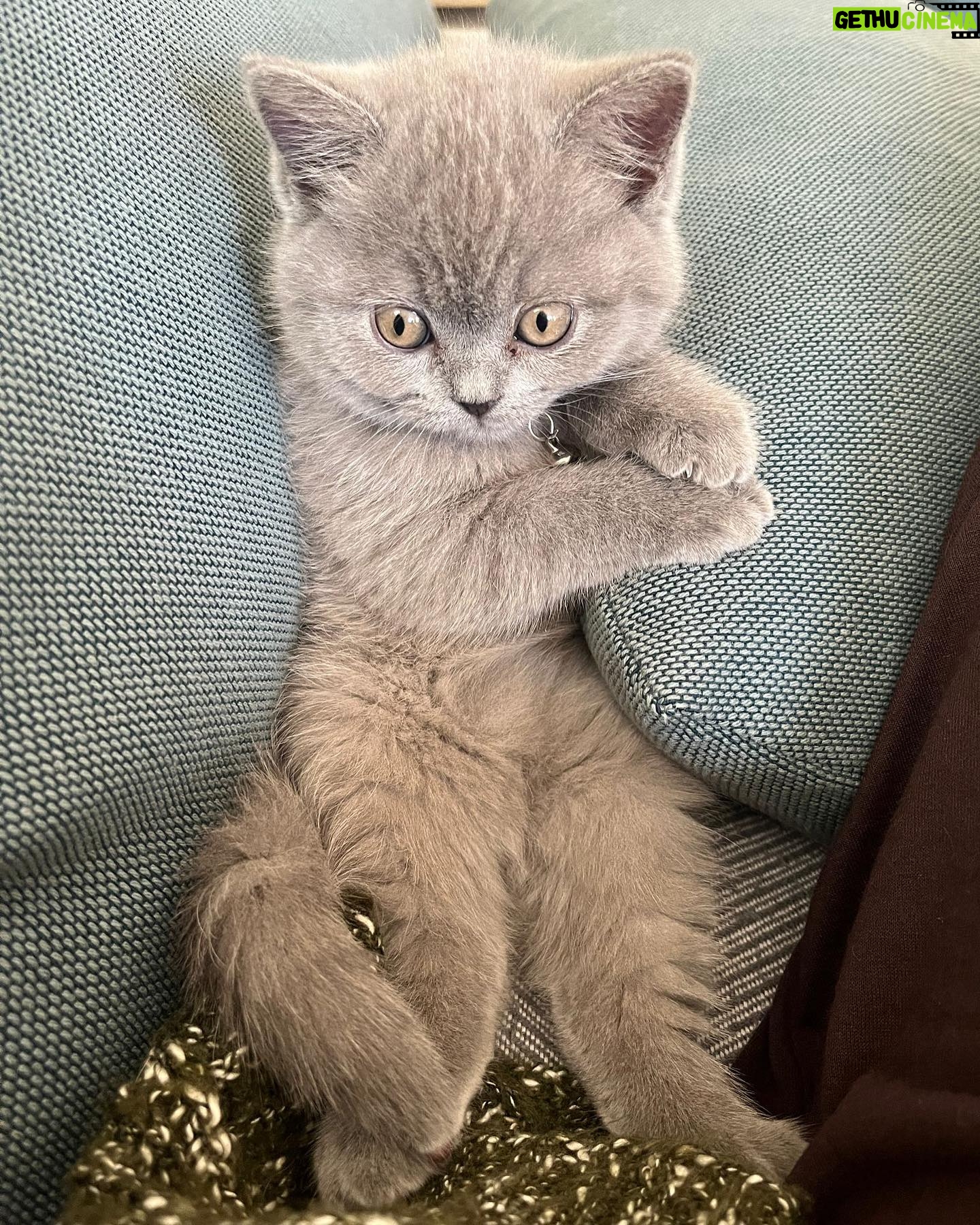 Emre Bey - 94.7K Likes - Biraz mutsuz 🐱