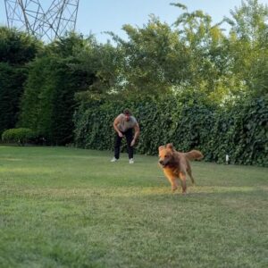 Emre Bey Instagram - Sunday gibi sunday ☀️