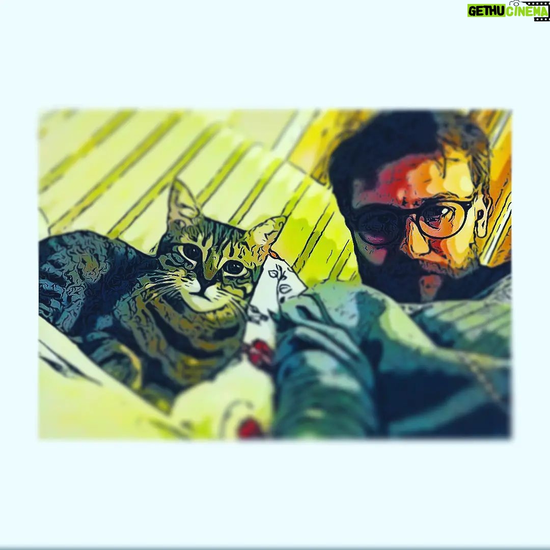 Emre Tetikel - 3 Likes - Bu dünya hepimizin... 😻 #4ekimdünyahayvanlarıkorumagünü #cat #catlover #budünyahepimizin