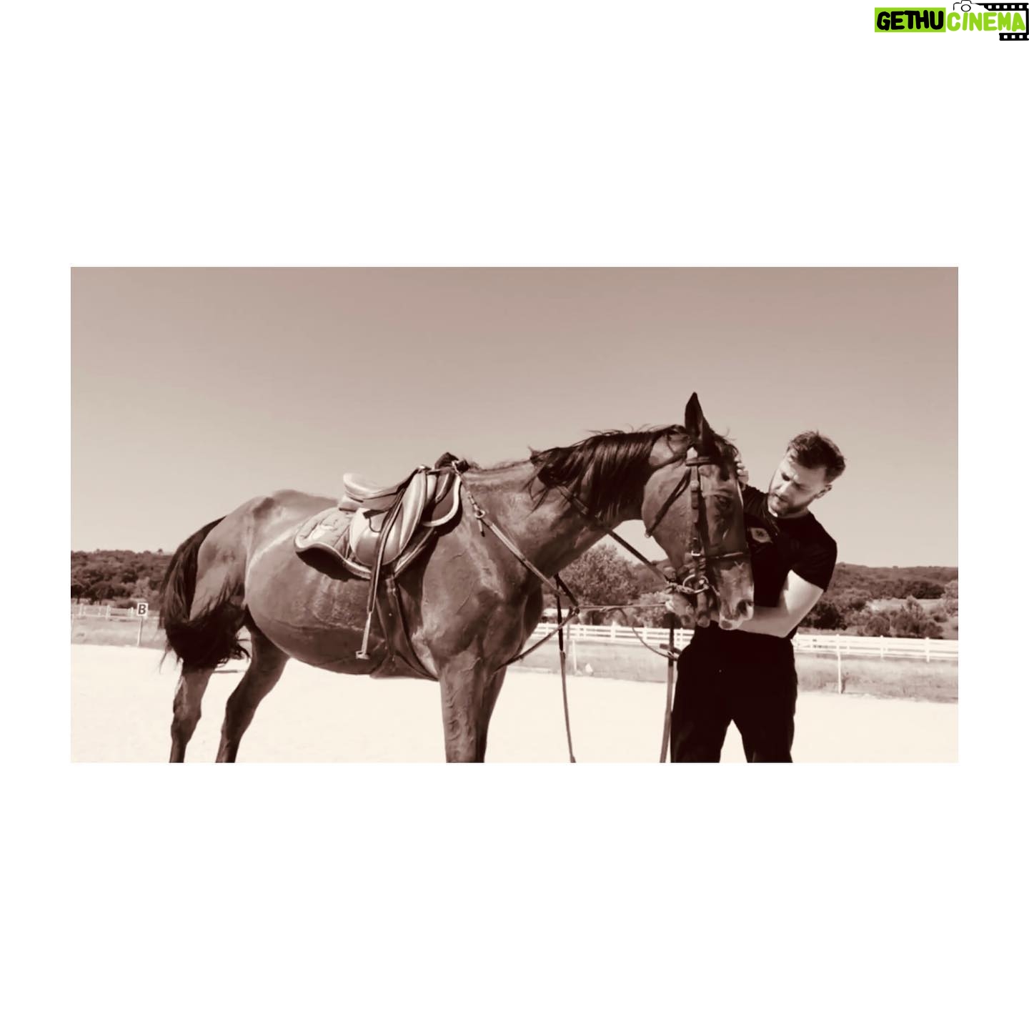 Emre Tetikel - 3 Likes - 🐎 #horselove
#art #artist #artwork #arte #artoftheday #artistic #horse #artofvisuals #horseriding #arts